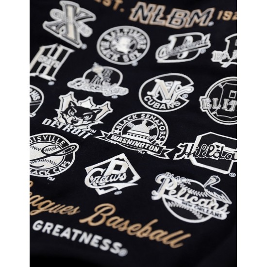 Big Boy Negro League Baseball S9 Mens Varsity Wool Jacket