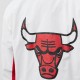 Chicago Bulls 1992-93 Warm Up Jacket
