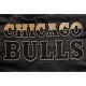 Chicago Bulls Gold Logo Satin Jacket