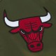 Chicago Bulls Green Satin Flight Jacket Chicago Bulls Green Satin Flight Jacket