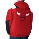 Red Black Chicago Bulls Charger Half-Zip Pullover Jacket